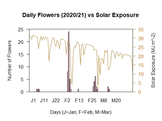 Flowers vs Solar Exposure